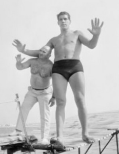 andre the giant image