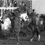 whirlaway image