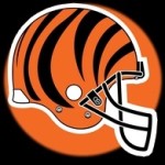 cincinnati bengals